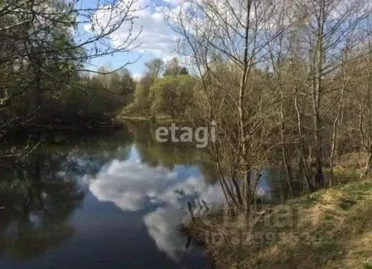 Участок в Калужская область, Тарусский муниципальный округ, Петрищево ... - Фото 1