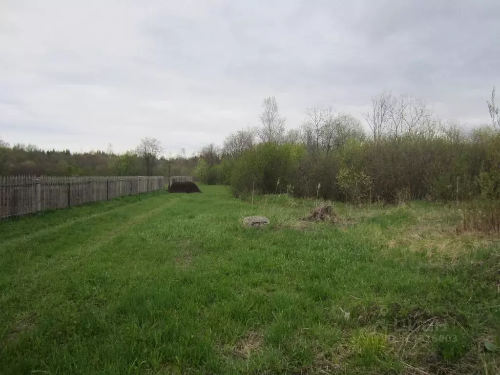 Участок в Пермский край, Краснокамский муниципальный округ, пос. ... - Фото 1