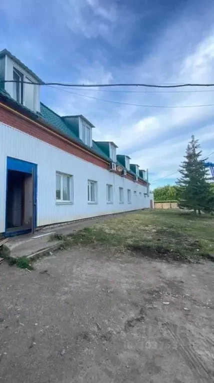 Помещение свободного назначения в Татарстан, Набережные Челны ул. ... - Фото 1