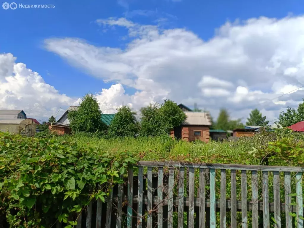 Участок в Омск, территория СОСН Птицевод-3, 2-я аллея (5 м) - Фото 2