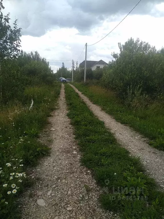 Участок в Новгородская область, Новгородский район, Трубичинское ... - Фото 0