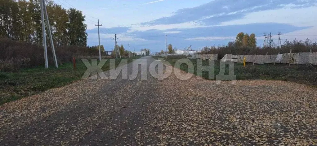 Участок в Новосибирская область, Новосибирский район, Верх-Тулинский ... - Фото 1