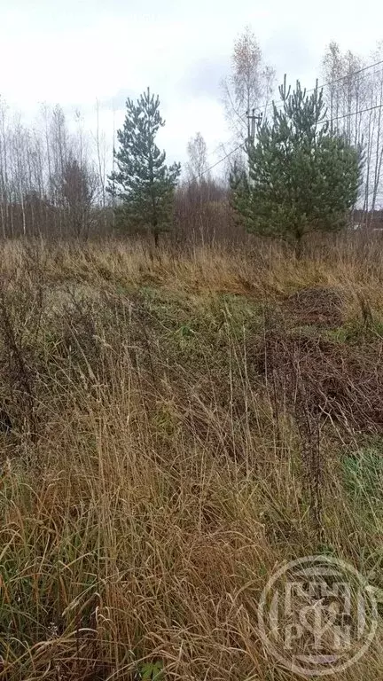 Участок в Заклинское сельское поселение, деревня Турово (20 м) - Фото 2