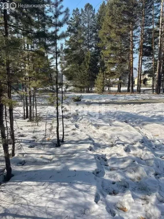 Участок в Читинский район, село Смоленка (10.2 м) - Фото 1