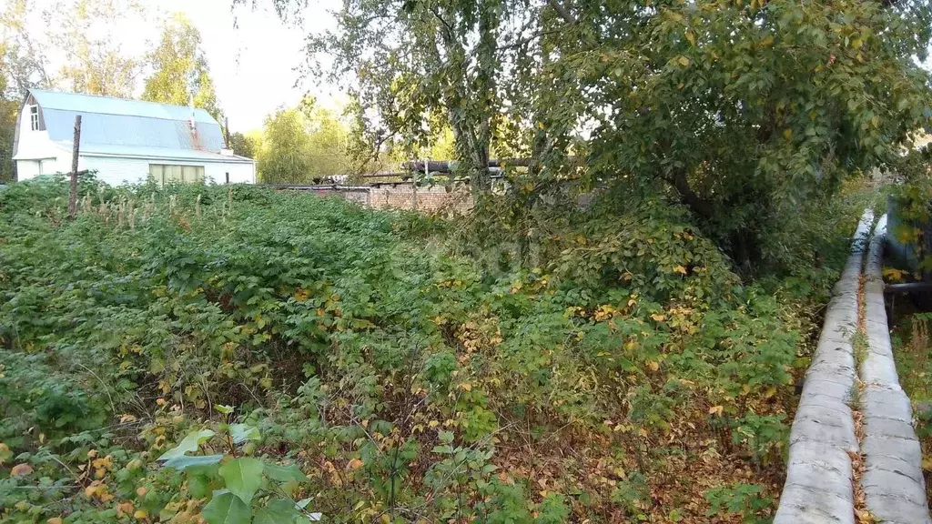 Участок в Коми, Сыктывкар ул. Кутузова, 20 (8.0 сот.) - Фото 1