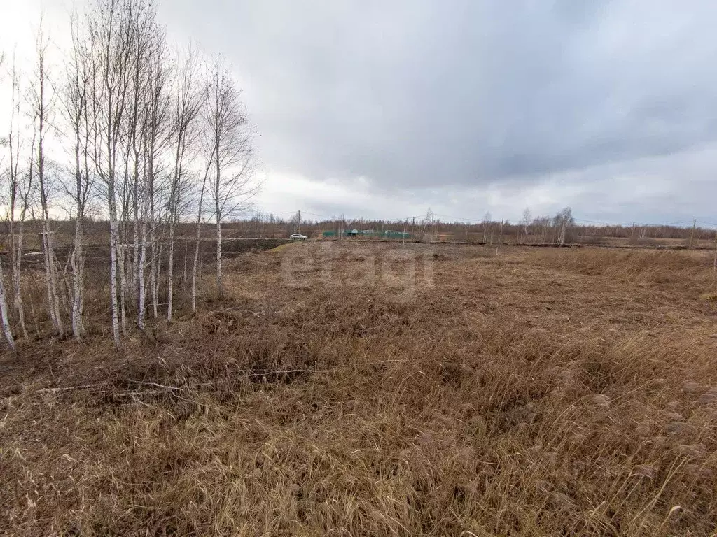 Участок в Тюменская область, Тюмень Большое Царево-1 СНТ,  (9.8 сот.) - Фото 0