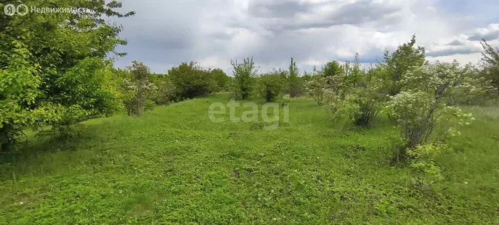 Участок в Рамонский район, Русскогвоздёвское сельское поселение, село ... - Фото 1