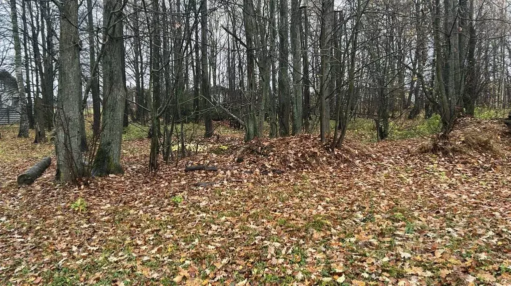 Участок в Московская область, Ступино городской округ, с. ... - Фото 1