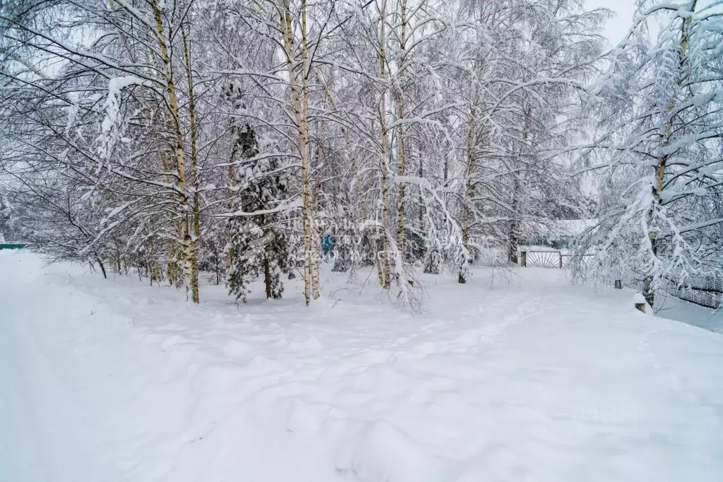 Участок в Рязанская область, Рязанский муниципальный округ, д. Деулино ... - Фото 1