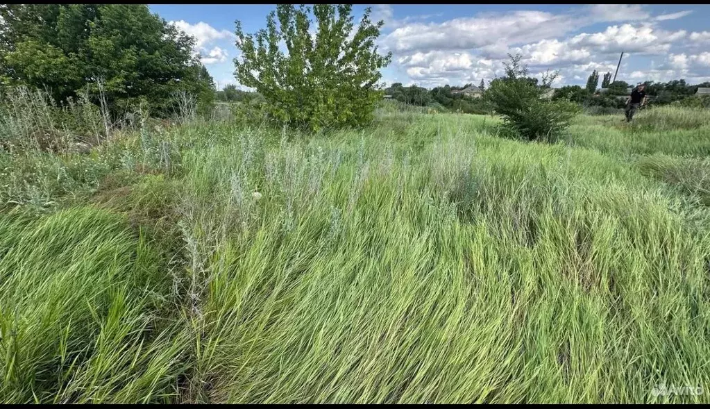 Участок в Саратовская область, Энгельс муниципальное образование, ... - Фото 1