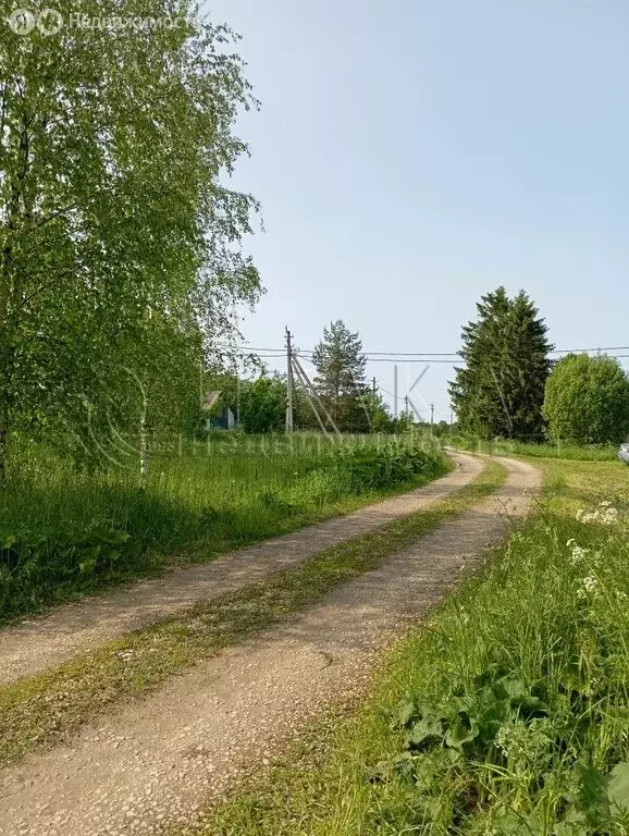 Участок в Волосовский район, Бегуницкое сельское поселение, деревня ... - Фото 1