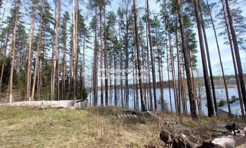 Участок в Выборгский район, Приморское городское поселение, посёлок ... - Фото 0