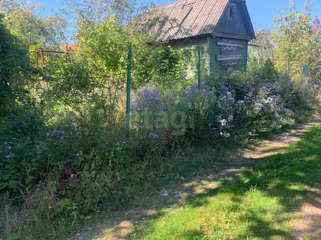 Участок в Курская область, Курск Моква СНТ, 294 (6.0 сот.) - Фото 0
