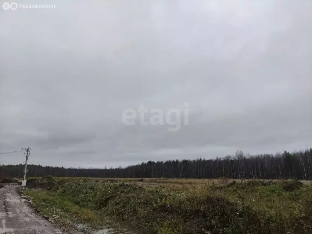 Участок в Колтушское городское поселение, Р-21 Кола, 21-й километр ... - Фото 0