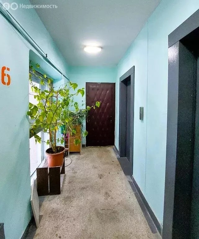 3-комнатная квартира: Москва, Пронская улица, 2 (78.4 м) - Фото 1