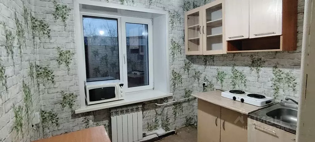 1-к кв. Алтай, Горно-Алтайск Набережная ул., 12 (30.0 м) - Фото 1