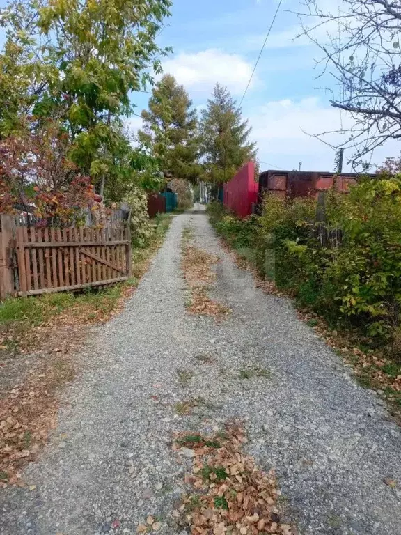 Дом в Хабаровский край, Хабаровск Рассвет СНТ,  (16 м) - Фото 1