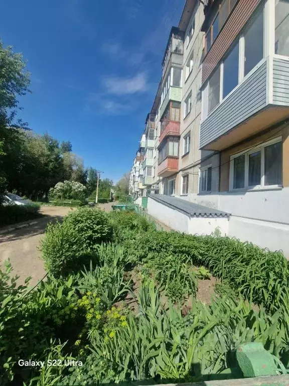 2-к кв. Алтайский край, Рубцовск Алтайская ул., 175 (44.0 м) - Фото 1