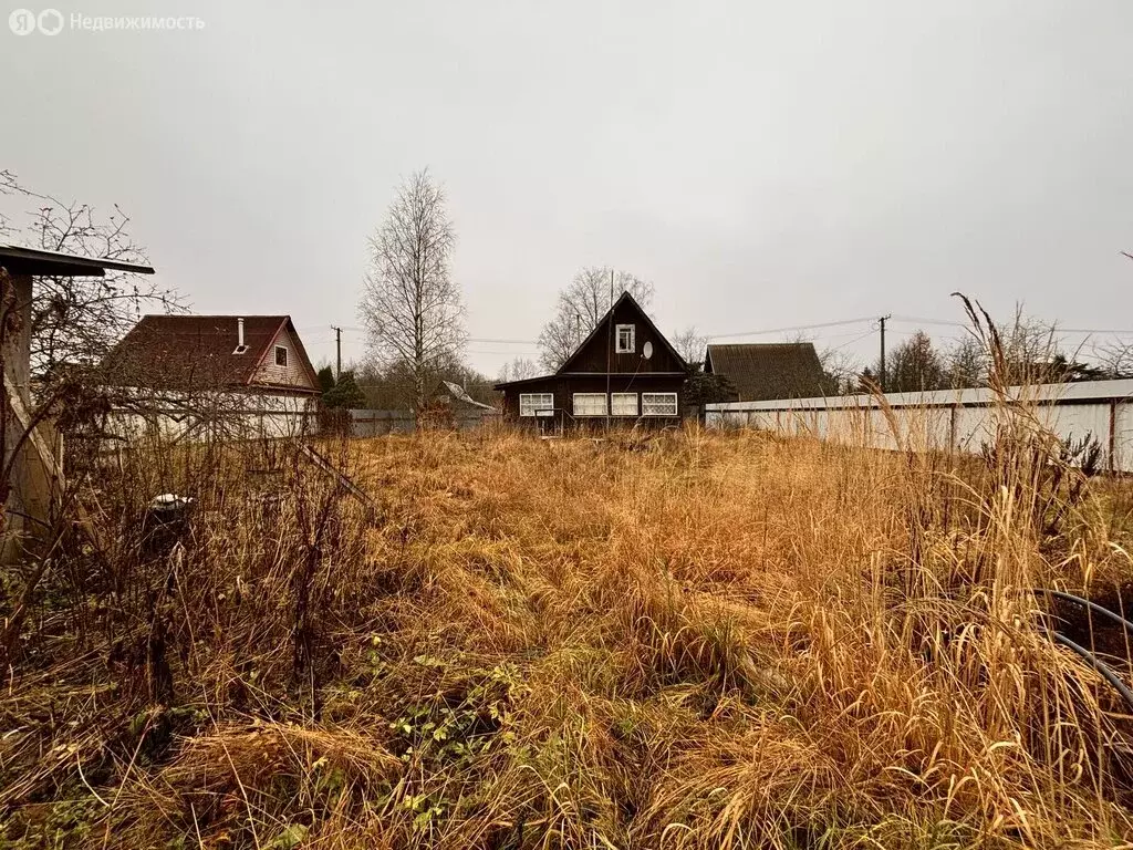 Дом в Дружная Горка, Красницкая улица (40.8 м) - Фото 2