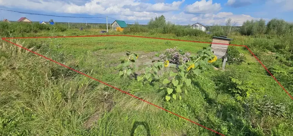 участок в новосибирская область, новосибирский район, криводановский . - Фото 1