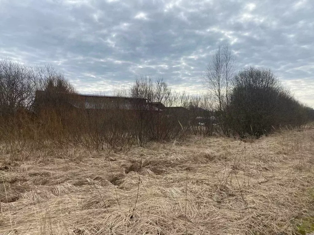Участок в Московская область, Талдомский городской округ, с. ... - Фото 0
