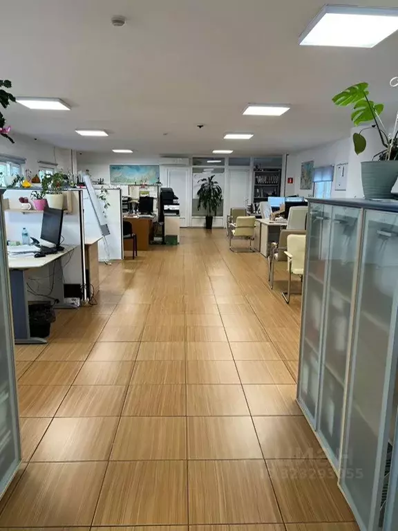 Офис в Московская область, Пушкино Мамонтовка мкр, Рабочая ул., 1 (462 ... - Фото 2