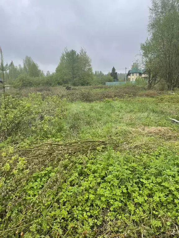 Участок 18 сот. (ИЖС) - Фото 1