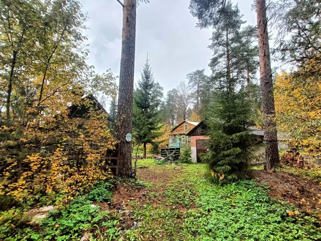 Участок в Ленинградская область, Гатчинский район, Вырица городской ... - Фото 0