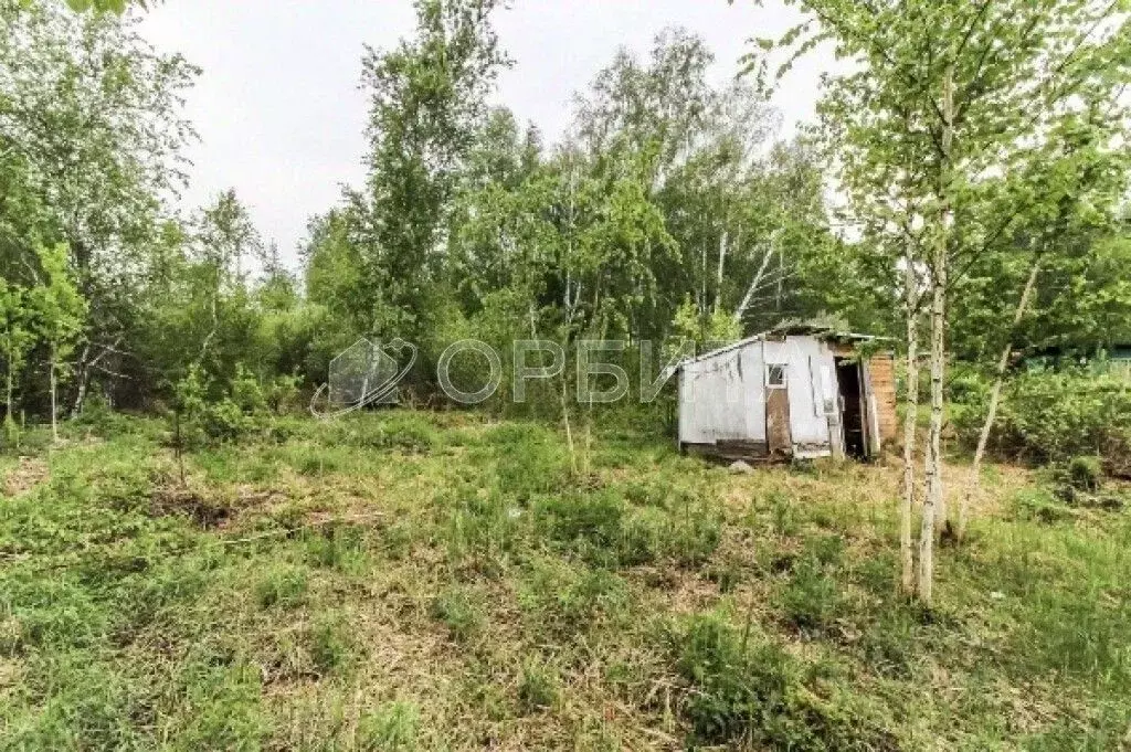 Участок в Тюменская область, Нижнетавдинский муниципальный округ, ... - Фото 1