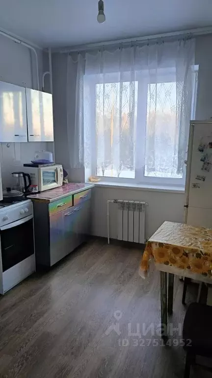 1-к кв. Омская область, с. Азово бул. Дружбы, 24 (36.8 м) - Фото 2