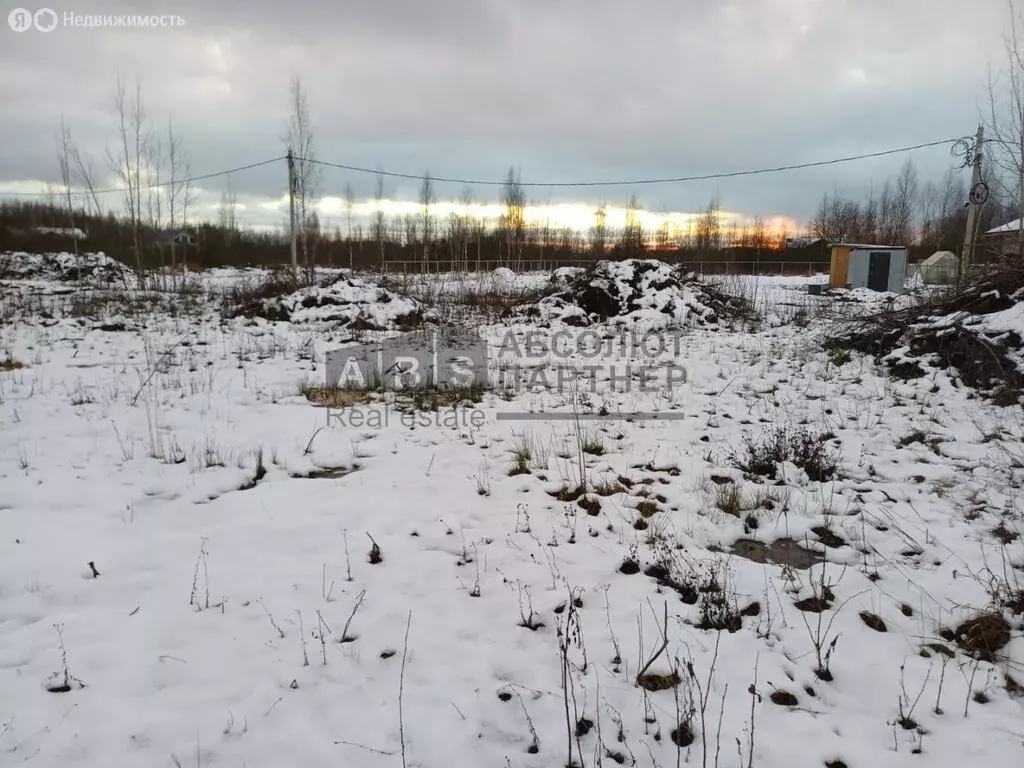 Участок в Савинское сельское поселение, деревня Зарелье, Радужная ... - Фото 2