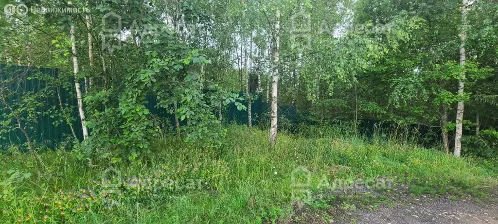 Участок в Московская область, муниципальный округ Шаховская, деревня ... - Фото 0