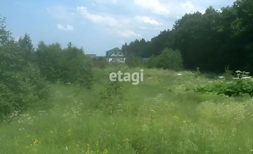 Участок в Ленинградская область, Гатчинский район, д. Луйсковицы 69 ... - Фото 0