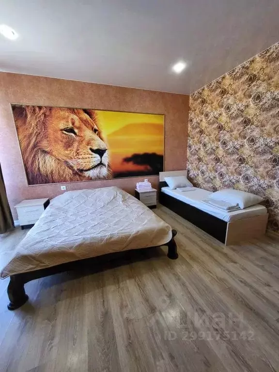 2-к кв. Краснодарский край, Геленджик городской округ, с. Дивноморское ... - Фото 2