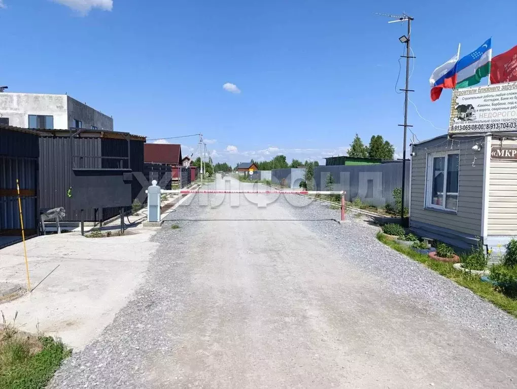 Участок в Новосибирская область, Новосибирский район, Ярковский ... - Фото 1