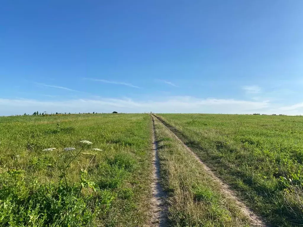 Участок в Владимирская область, Гороховец ул. Суворова, 13 (15.0 сот.) - Фото 1