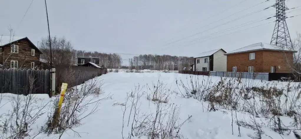 Участок в Новосибирская область, Новосибирский район, с. Толмачево ул. ... - Фото 2