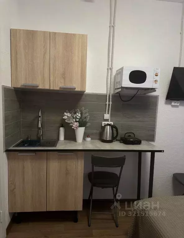 Студия Московская область, Раменское пос. Красный Октябрь, 23 (21.0 м) - Фото 1