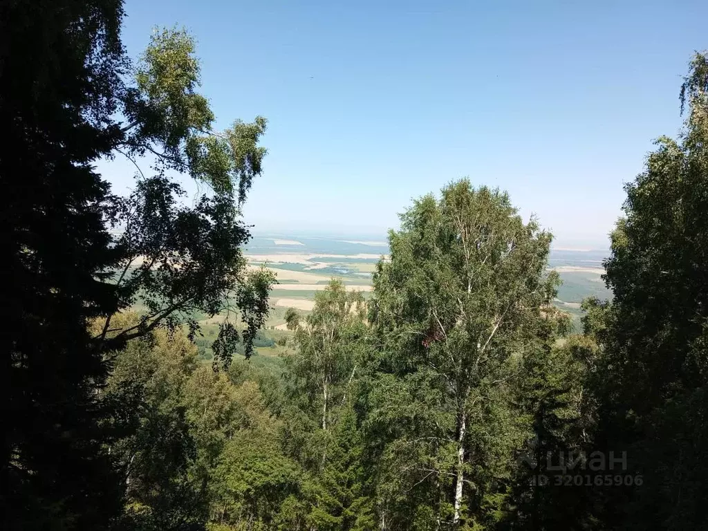 Участок в Алтайский край, Белокуриха Центральная ул. (57.0 сот.) - Фото 1