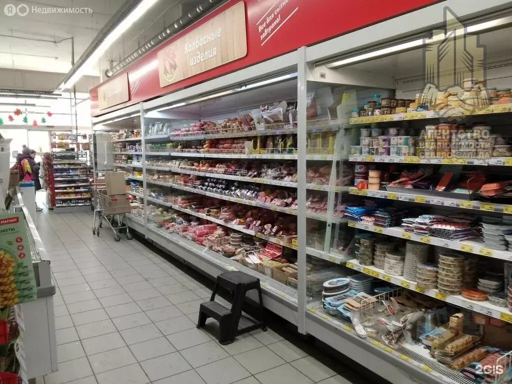 Помещение свободного назначения (630 м) - Фото 2