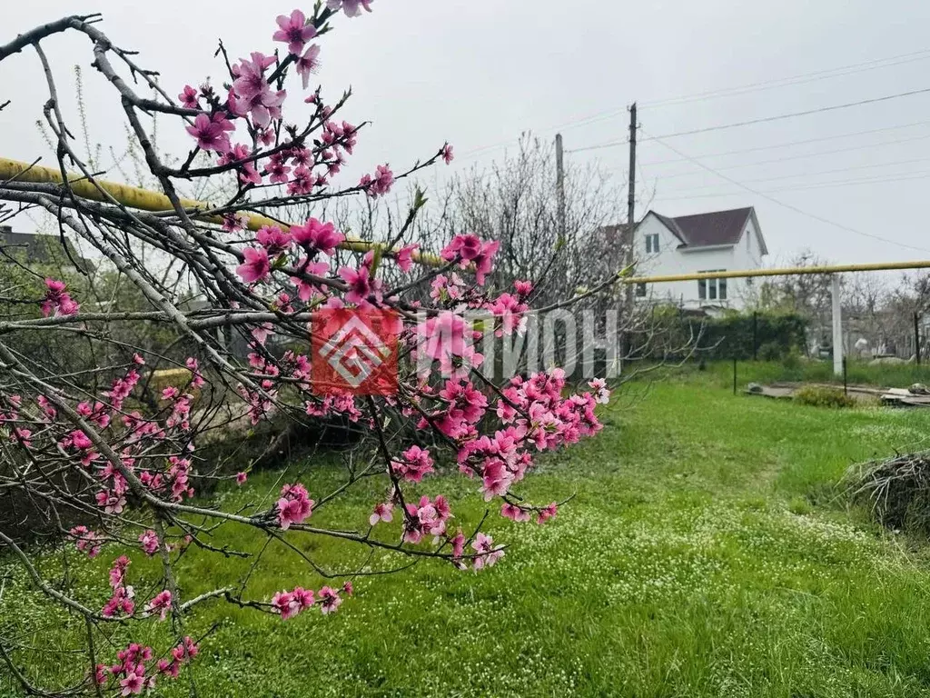 Дом в Севастополь СТ Садовод ТСН, 2 (21 м) - Фото 2