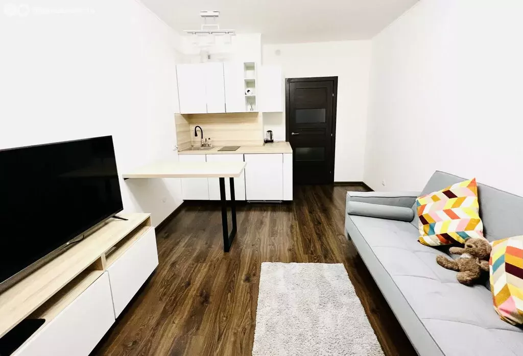 Квартира-студия: Санкт-Петербург, Торфяная дорога, 15к3 (24 м) - Фото 0
