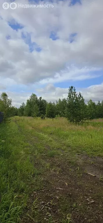 Участок в Челябинская область, Аргаяшский муниципальный округ, деревня ... - Фото 1