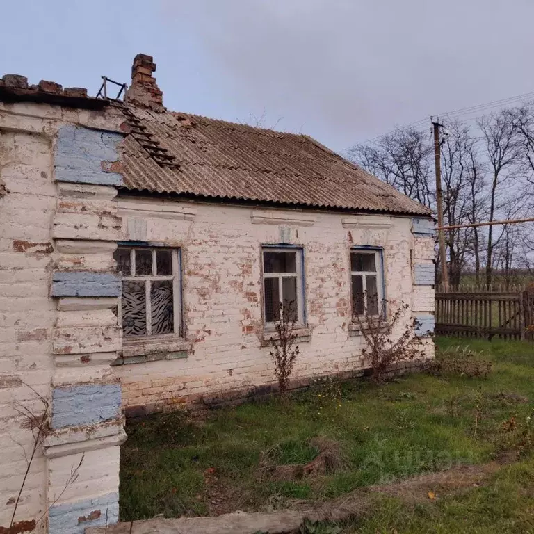 Дом в Краснодарский край, Щербиновское с/пос, пос. Щербиновский ул. ... - Фото 2