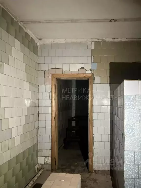 Помещение свободного назначения в Тюменская область, Ялуторовск ул. ... - Фото 1
