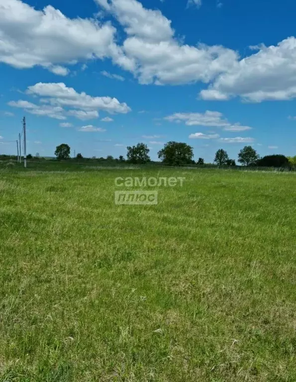 Участок в Татарстан, Мамадышский район, Сокольское с/пос, пос. Новый ... - Фото 1