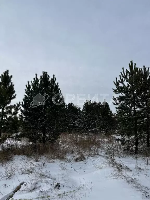 Участок в Тюменская область, Тюменский район, д. Речкина  (7.0 сот.) - Фото 1