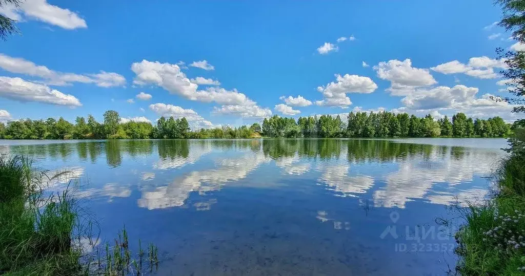 Участок в Владимирская область, Меленковский муниципальный округ, с. ... - Фото 2