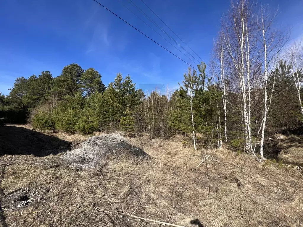 Участок в Свердловская область, Березовский муниципальный округ, пос. ... - Фото 2