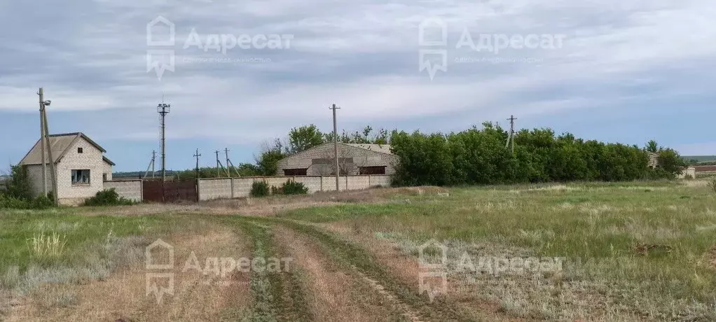Помещение свободного назначения в Волгоградская область, Дубовский ... - Фото 1